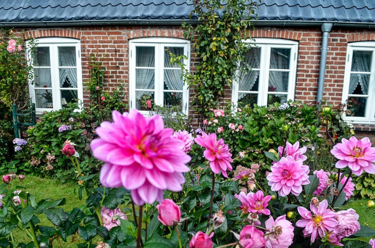 Hof Diederichs Bohmstedt Exterior foto